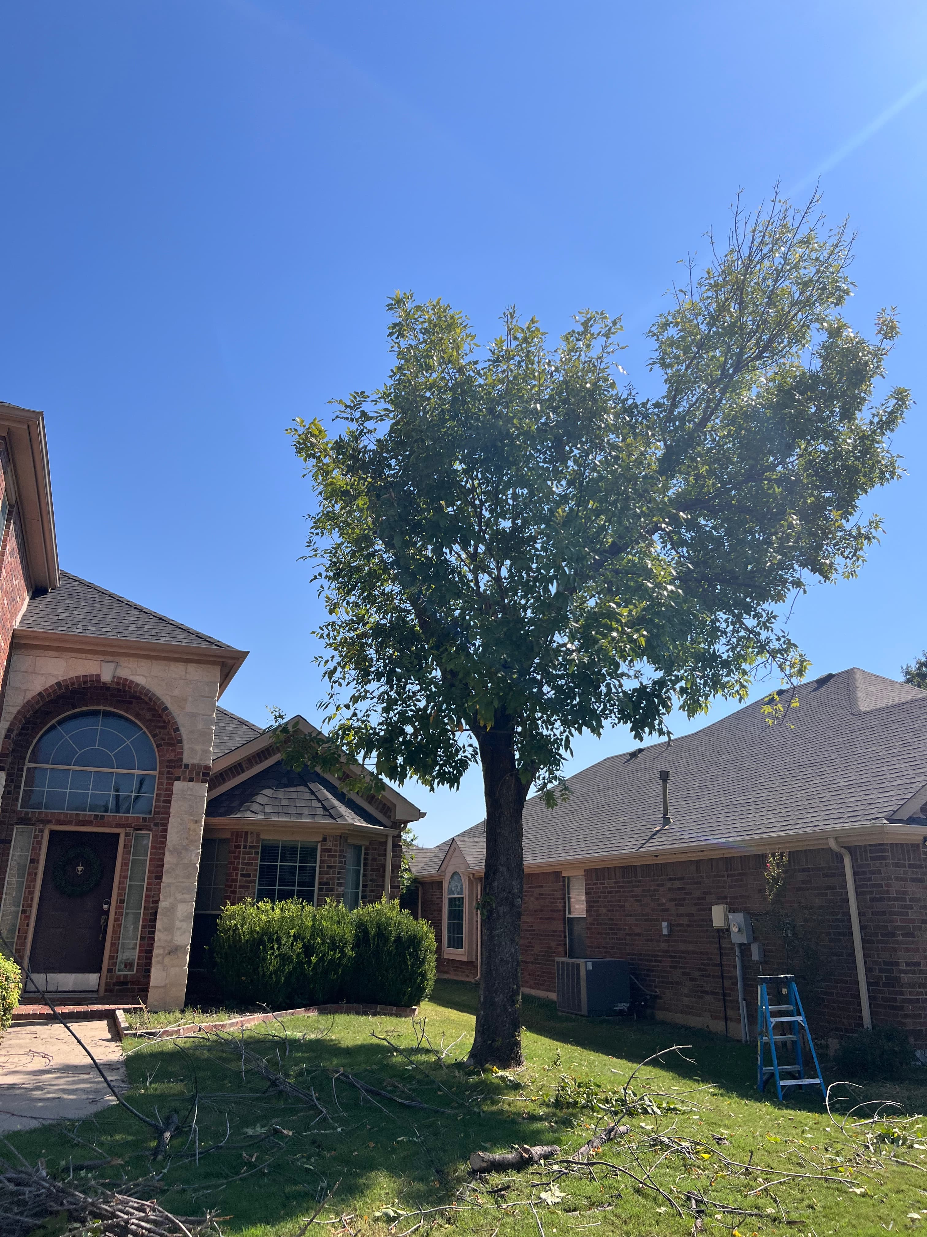 CCA Construction Renovation & Landscaping | Landscaping Portfolio