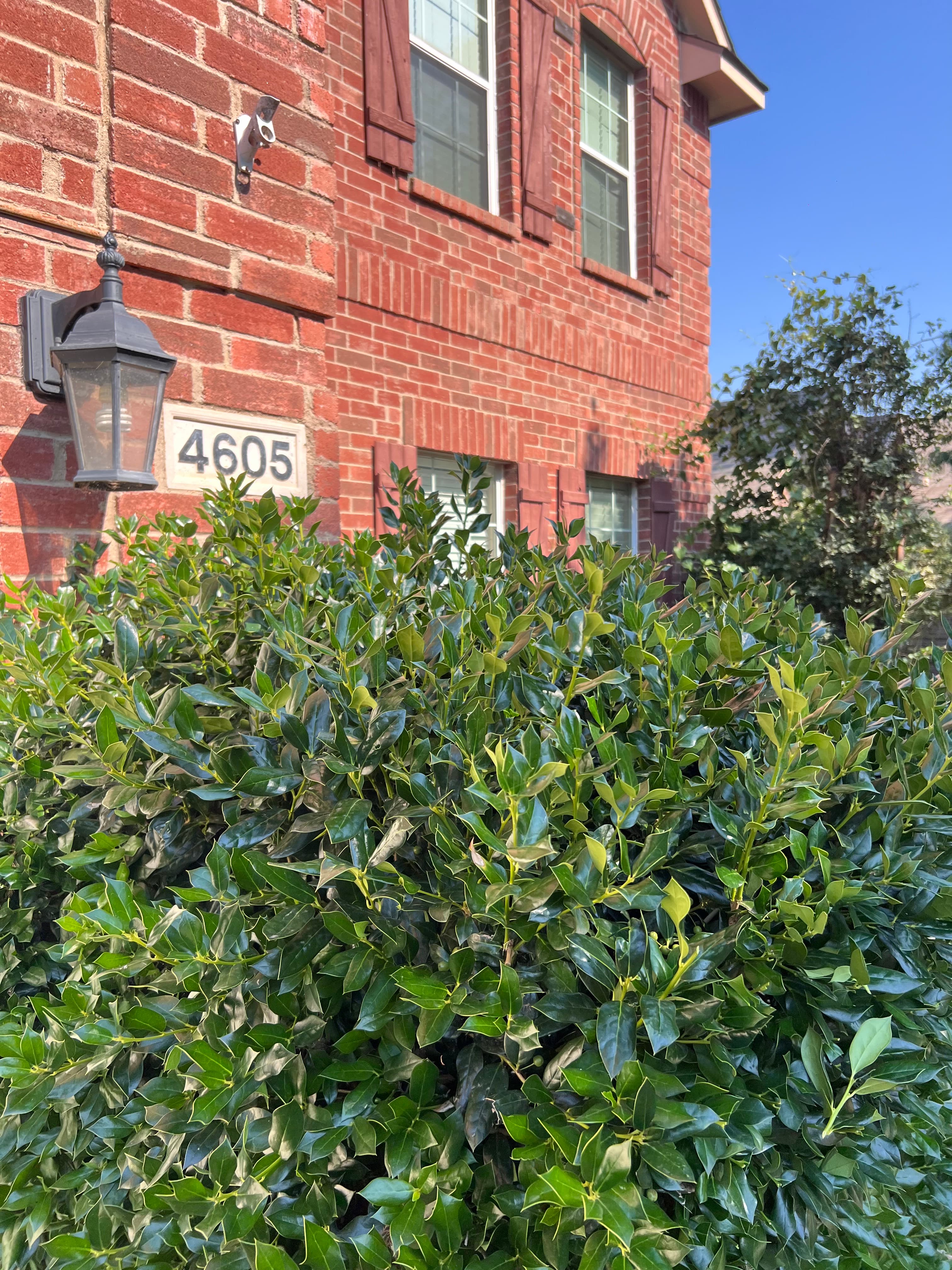 CCA Construction Renovation & Landscaping | Landscaping Portfolio