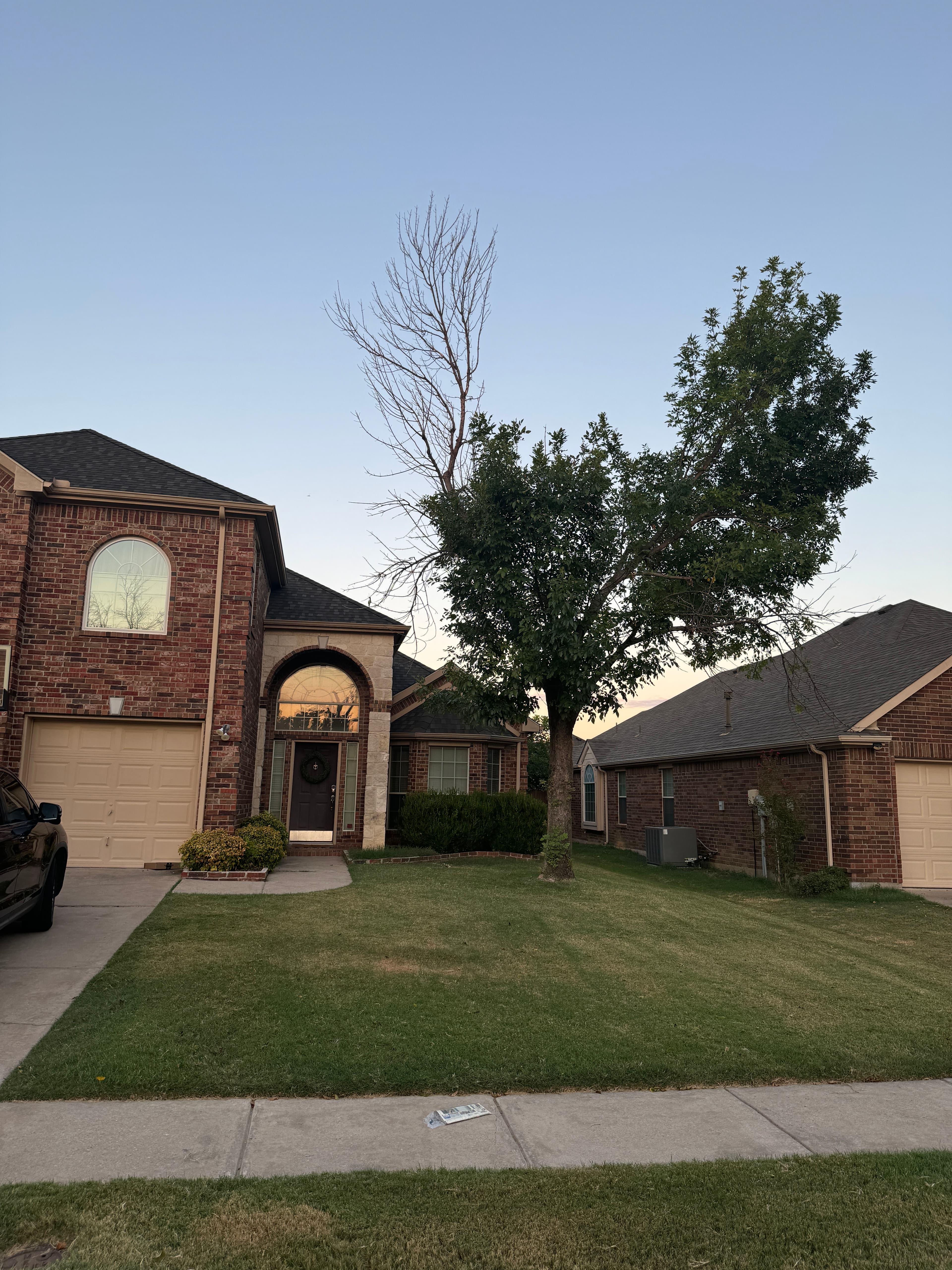 CCA Construction Renovation & Landscaping | Landscaping Portfolio