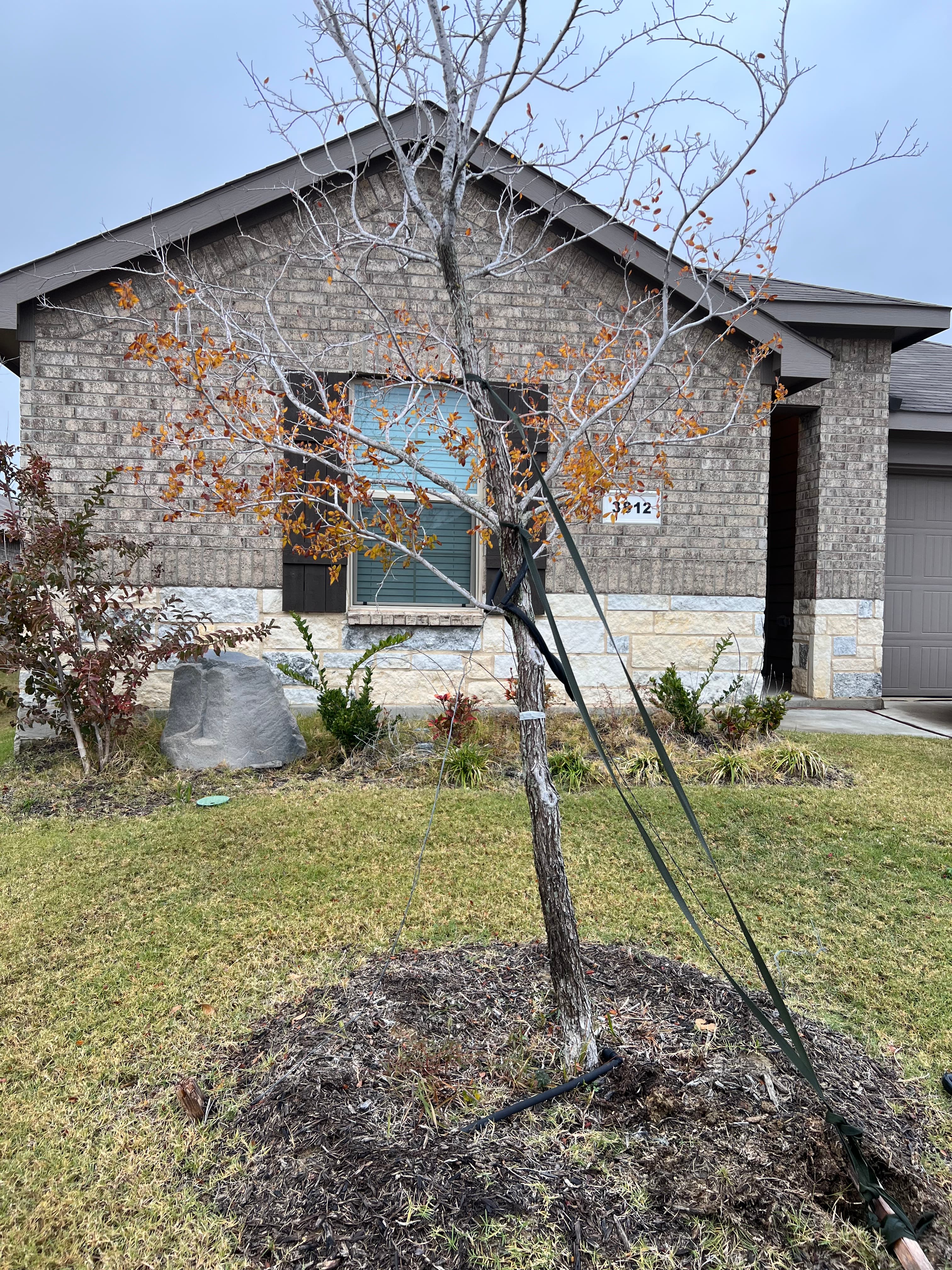 CCA Construction Renovation & Landscaping | Landscaping Portfolio